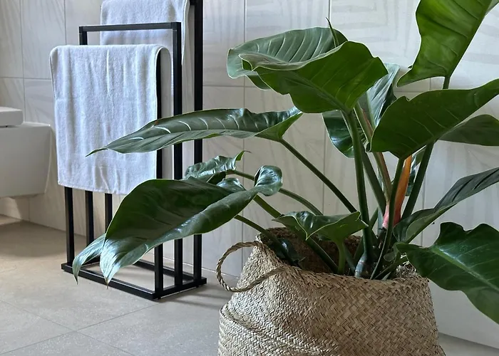 Ferienwohnung-parkplatz-balkon-kueche-smarttv-waschtrockner * ארלנגן